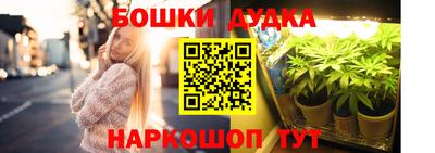 PSILOCYBIN Бийск