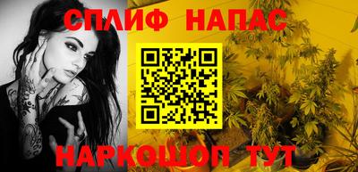 индика Беслан
