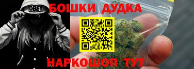 индика Беслан