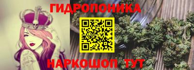 PSILOCYBIN Бийск