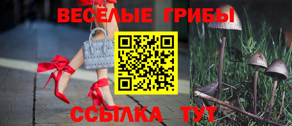 Галлюциногенные грибы ЛСД  Псилоцибиновые грибы Psilocybine cubensis  Казань  Вход с VPN 